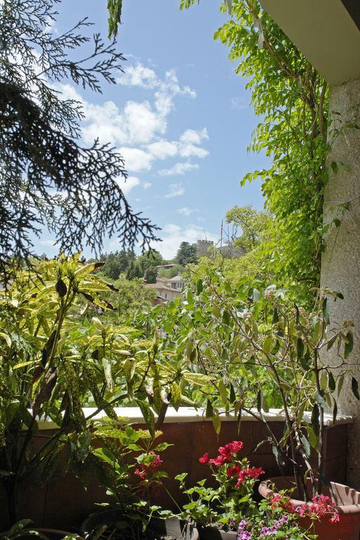 Villa Forum オフリド エクステリア 写真
